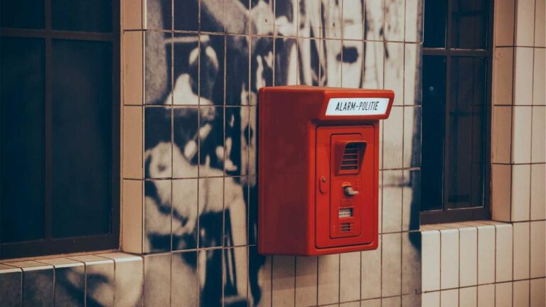 What Is The Official 11Xplay Customer Number For Support?