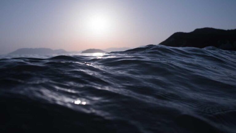 How To Withdraw Money From Cricbet99 Account?